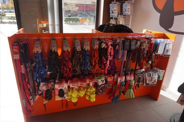 juguetes y accesorios para mascotas
