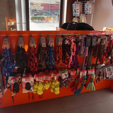 juguetes y accesorios para mascotas