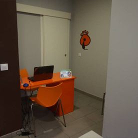 interior clinica veterinaria 5