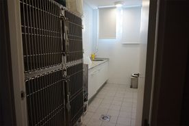 interior clinica veterinaria