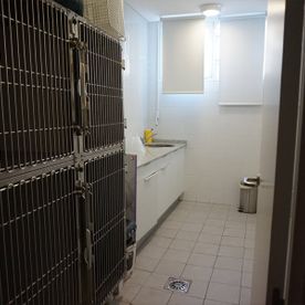 interior clinica veterinaria