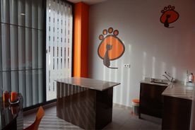 interior clinica veterinaria 3