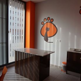 interior clinica veterinaria 3