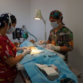 interior clinica veterinaria 6